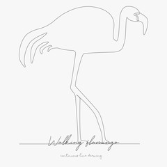 continuous line drawing. walking flamingo. simple vector illustration. walking flamingo concept hand drawing sketch line.