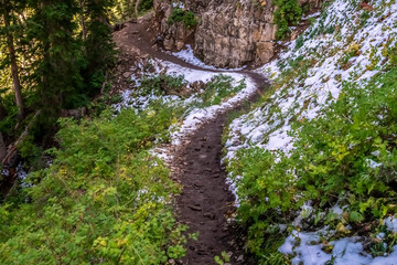 Curving hiking trail on Mount Timpanogos, Utah