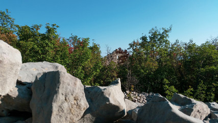 fragment of a stone wall with an overgrown ruin of a house in the background