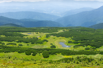 Fototapeta premium Picturesque nature of Ukrainian Carpathians