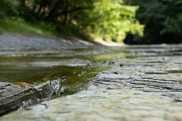 Stream in the forest