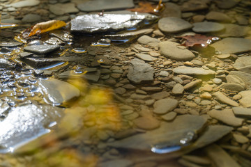 Autumn River in Pennsylvania