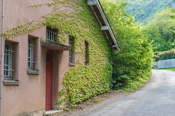 grape-braided house