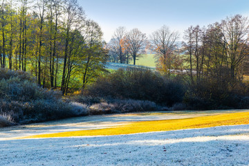 Cold morning in countryside. Ice and grass. Czech republic.