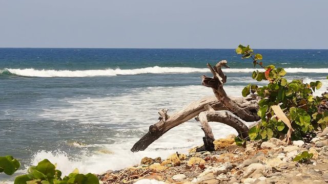 Coastline between Baracoa and Yumuri river, Guantanamo province, Cuba
