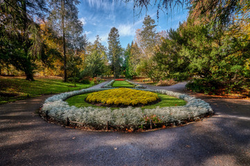 Gdansk, Poland, autumn - fragment of the Oliwa Park in the Gdansk Oliwa district
