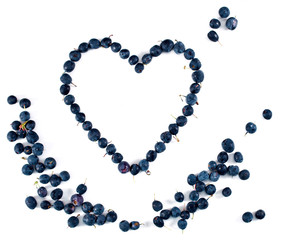 Heart made of blueberry isolated on a white background. Top view.