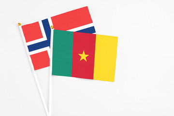Cameroon and Norway stick flags on white background. High quality fabric, miniature national flag. Peaceful global concept.White floor for copy space.