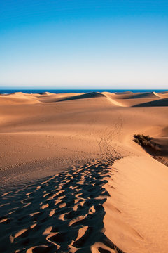 Dune di Maspalomas - Gran Canaria
