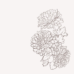 Vector dahlia flower. Autumn flowers bouquet.  Element for desig