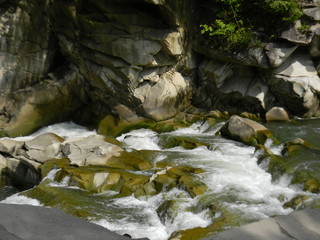 Mountain river in the Carpathians.