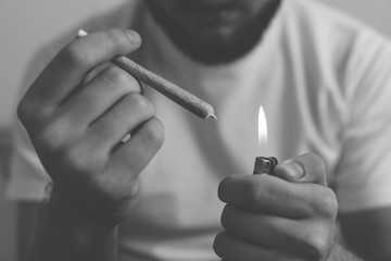 Smoke pot person. Man rolling cannabis blunt. Rolling a marijuana weed joint . Close up weed joint...
