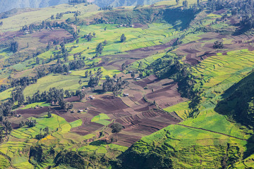 View of farms and a village in the Ethiopian highlands
