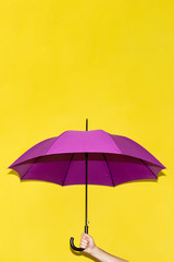 A man holds in his hand a purple umbrella on a background of yellow lime wall. Concept autumn, business, art.
