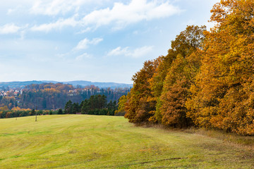 Autumn landscape - forest golden trees on meadow.