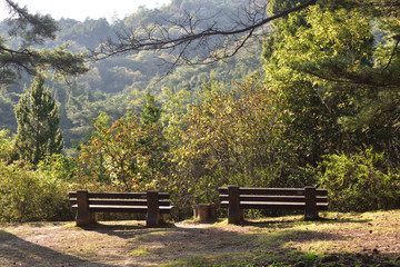 日本の公園のベンチ