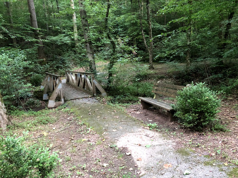 Bridge by the bench