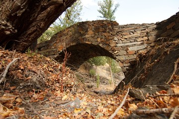 stone bridge over a river without water full of dry brown leaves in autumn at sunset