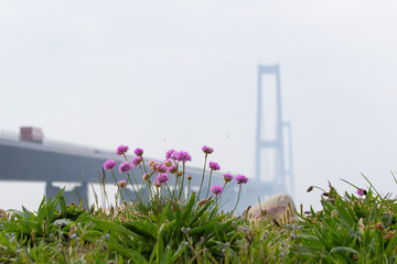 The Great Belt Bridge link in Dnmark