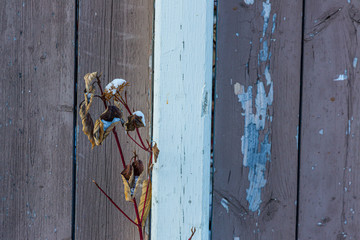 twigs at a fence
