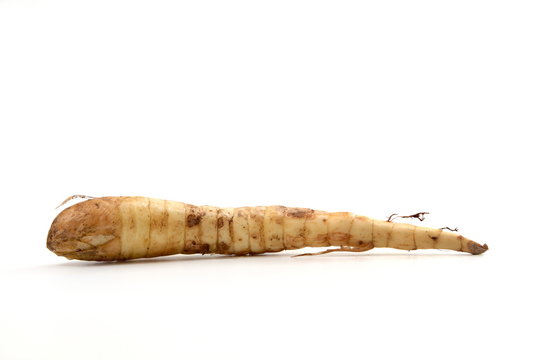 Arrowroot Images – Browse 3,316 Stock Photos, Vectors, and Video ...
