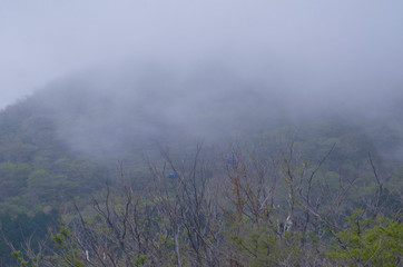 霧　山