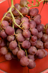 Delicious fresh and healthy purple grapes