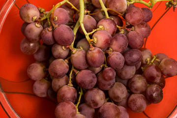 Delicious fresh and healthy purple grapes