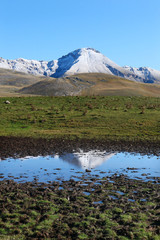 Fototapeta premium Riflessi