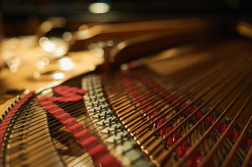 The strings inside the piano close-up.