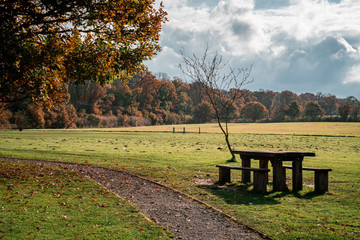 English countryside view with table and benches