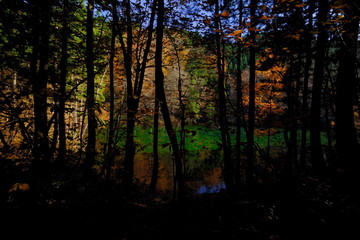 木立シルエットの先にある神秘的な池