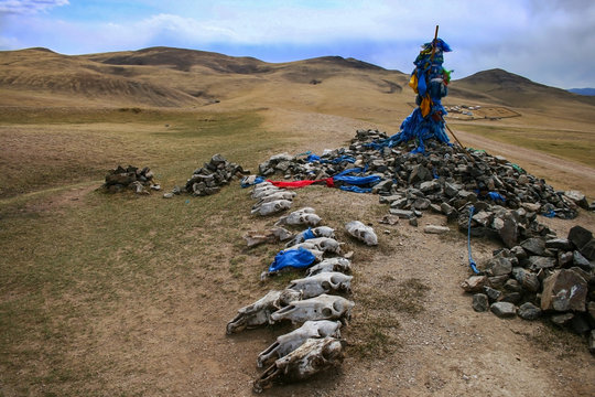 Ovoo, oboo or obo (ceremonial rock pile or cairn) with sacred hadags or khadags (blue silk scarves) with sheep skulls close to Erdene Zuu Khiid Monastery in Kharkhorin or Karakorum, Mongolia.