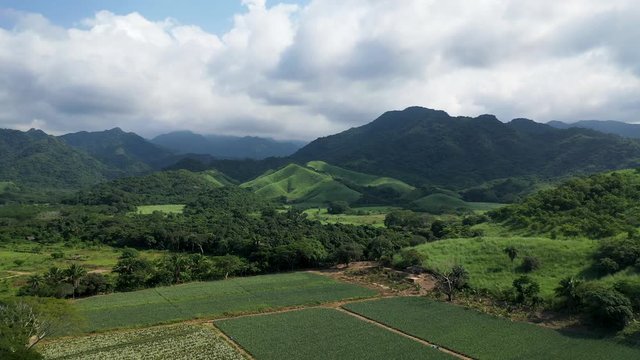 Pineapple farm surrounded by mountains in Nayarit, Mexico. Aerial drone photography of nature. Beautiful grass mountains with clouds. Camera moving forward.