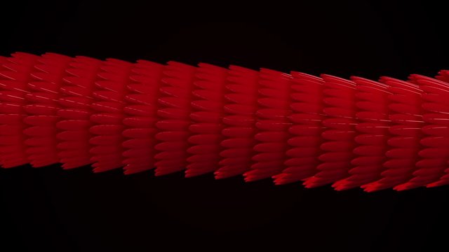 Smooth bright wavy pattern, iridescent glossy scales. Animation. Abstract animation of multicolored 3d glossy snake or dragon scales moving smoothly on the black background.