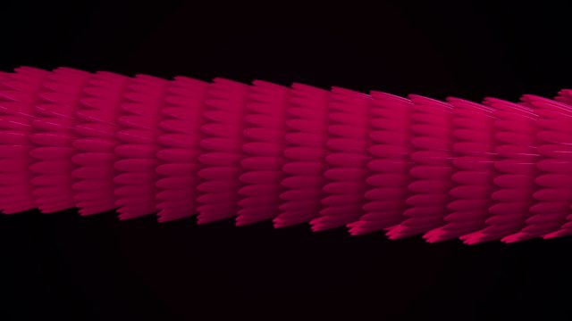 Smooth bright wavy pattern, iridescent glossy scales. Animation. Abstract animation of multicolored 3d glossy snake or dragon scales moving smoothly on the black background.
