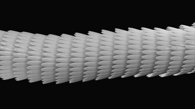 Black and white abstract animation of 3d glossy snake or dragon scales moving smoothly on the black background. Animation. Iridescent glossy scales
