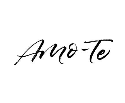 Amo-te hand drawn card. Hand drawn brush style modern calligraphy. Vector illustration of handwritten lettering. 