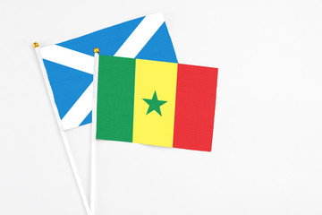 Senegal and Scotland stick flags on white background. High quality fabric, miniature national flag. Peaceful global concept.White floor for copy space.