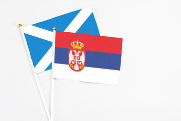 Serbia and Scotland stick flags on white background. High quality fabric, miniature national flag. Peaceful global concept.White floor for copy space.