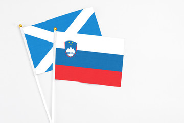 Slovenia and Scotland stick flags on white background. High quality fabric, miniature national flag. Peaceful global concept.White floor for copy space.
