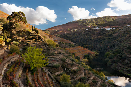 Autumn In The Duoro Valley 3