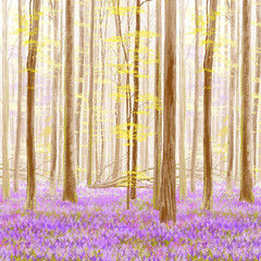 Bluebell forest alive at sunrise with sunlight and tree shadows covering the beautiful purple woodland flowers