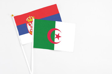 Algeria and Serbia stick flags on white background. High quality fabric, miniature national flag. Peaceful global concept.White floor for copy space.