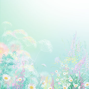  Flowers dandelion, cornflower, daisy in fields. Hand Paint summer floral Impressionist style