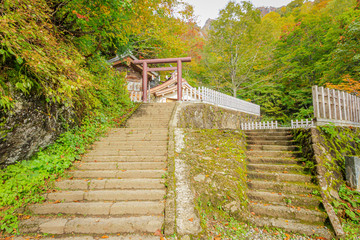 戸隠神社奥社　長野県戸隠　Togakushi Shrine　Nagano Togakushi