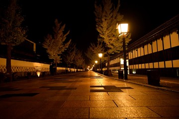 Fototapeta na wymiar 津和野の夜