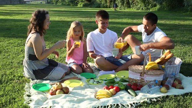 Happy young woman with her husband and two children enjoying picnic on green meadow together