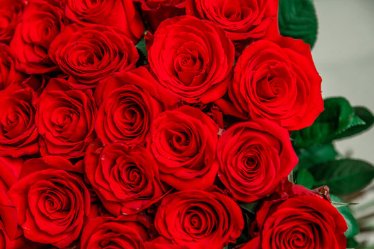 Cropped top-view photo of bouquet of big tender red roses.