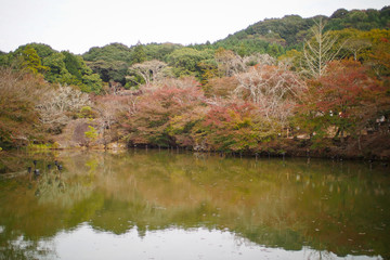 秋の湖の風景